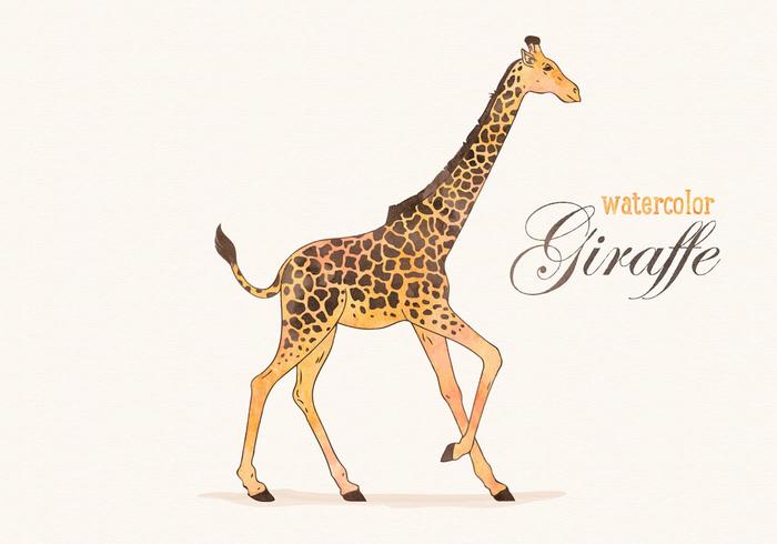 Vector Watercolor Giraffe Illustration