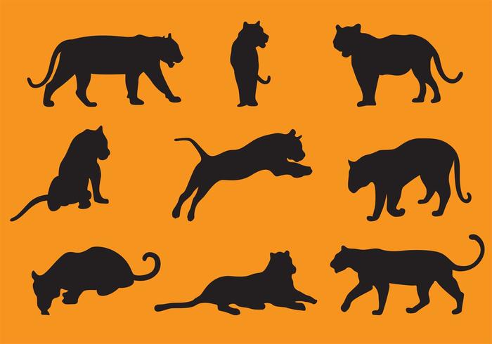 Tiger Silhouette Vectors