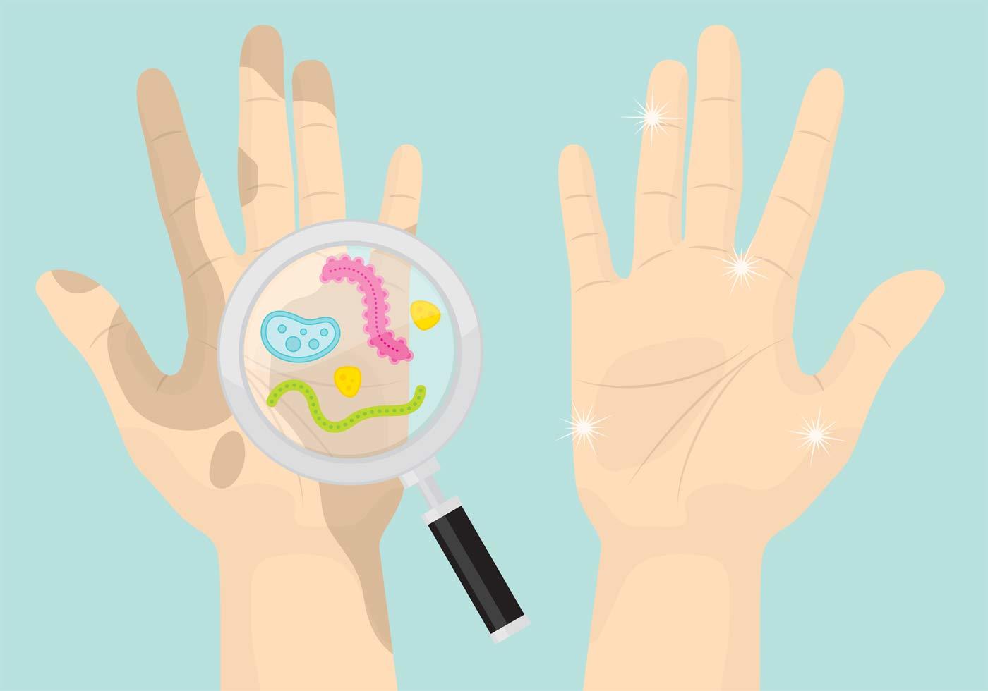 Dirty And Clean Hand Vectors 92363 Vector Art at Vecteezy