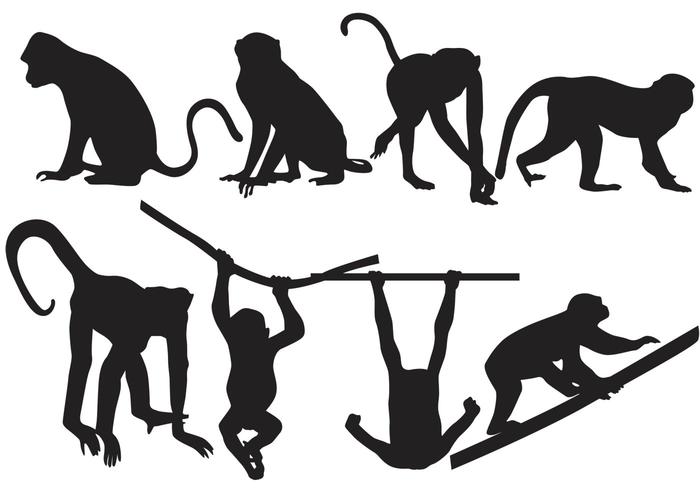 Monkey Silhouette Vectors