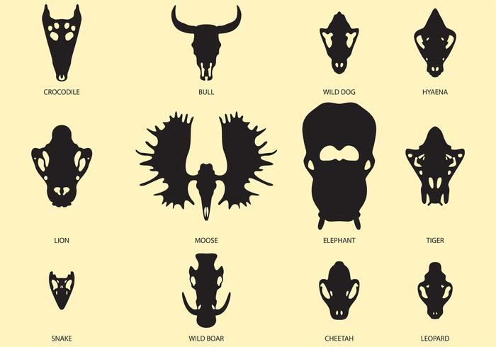 Vector Animal Skulls 92770 Vector Art at Vecteezy Vector Animal Skulls 92770 Vector Art at Vecteezy