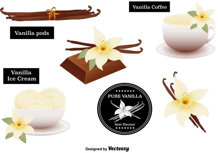 Vanilla Flower Vectors Set