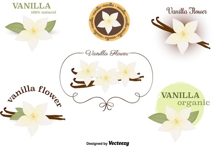 Vanilla Flower Vectors Set