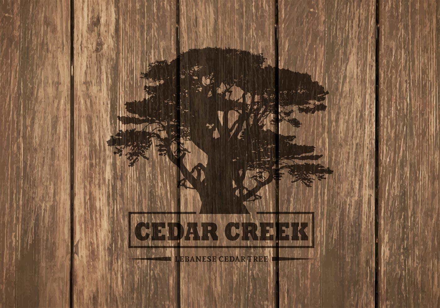 Cedar Tree Silhouette On Wooden Background.