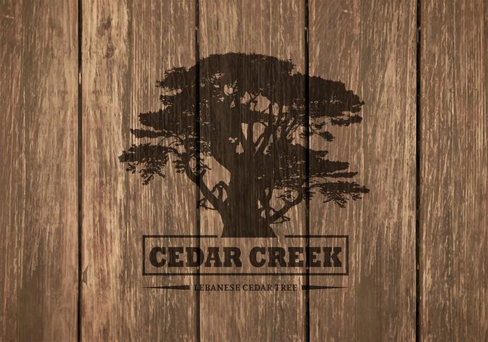 Cedar Tree Silhouette On Wooden Background vector