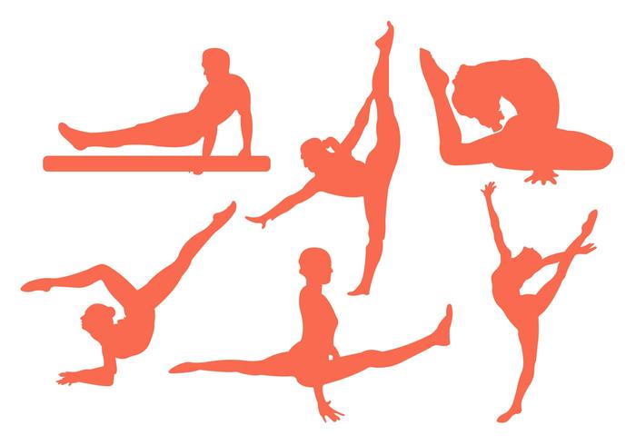 Vector Illustration of Men and Women Doing Gymastics