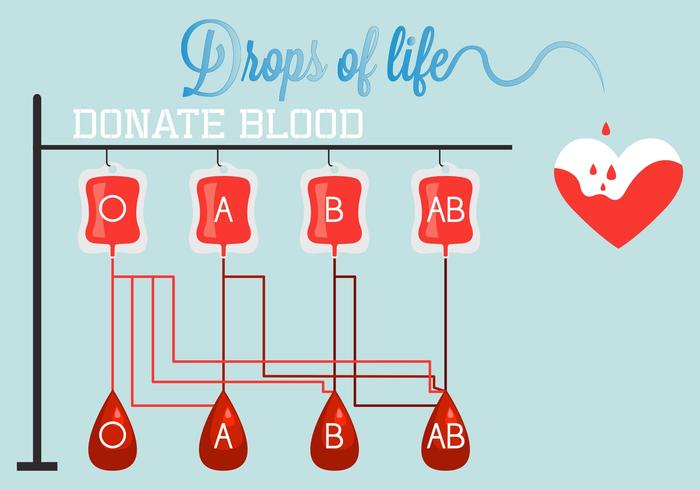 Diseño Médico de la Donación de Sangre en Vector