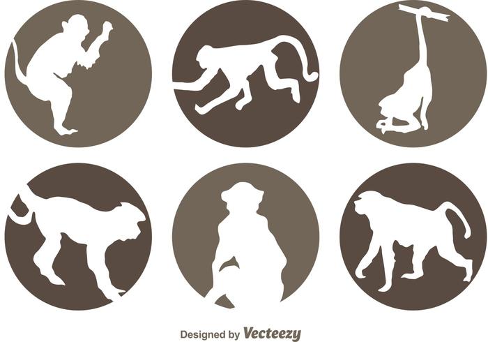 Circle Monkey Icons vector