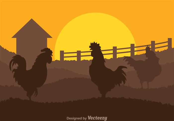 Roosters On Field vector