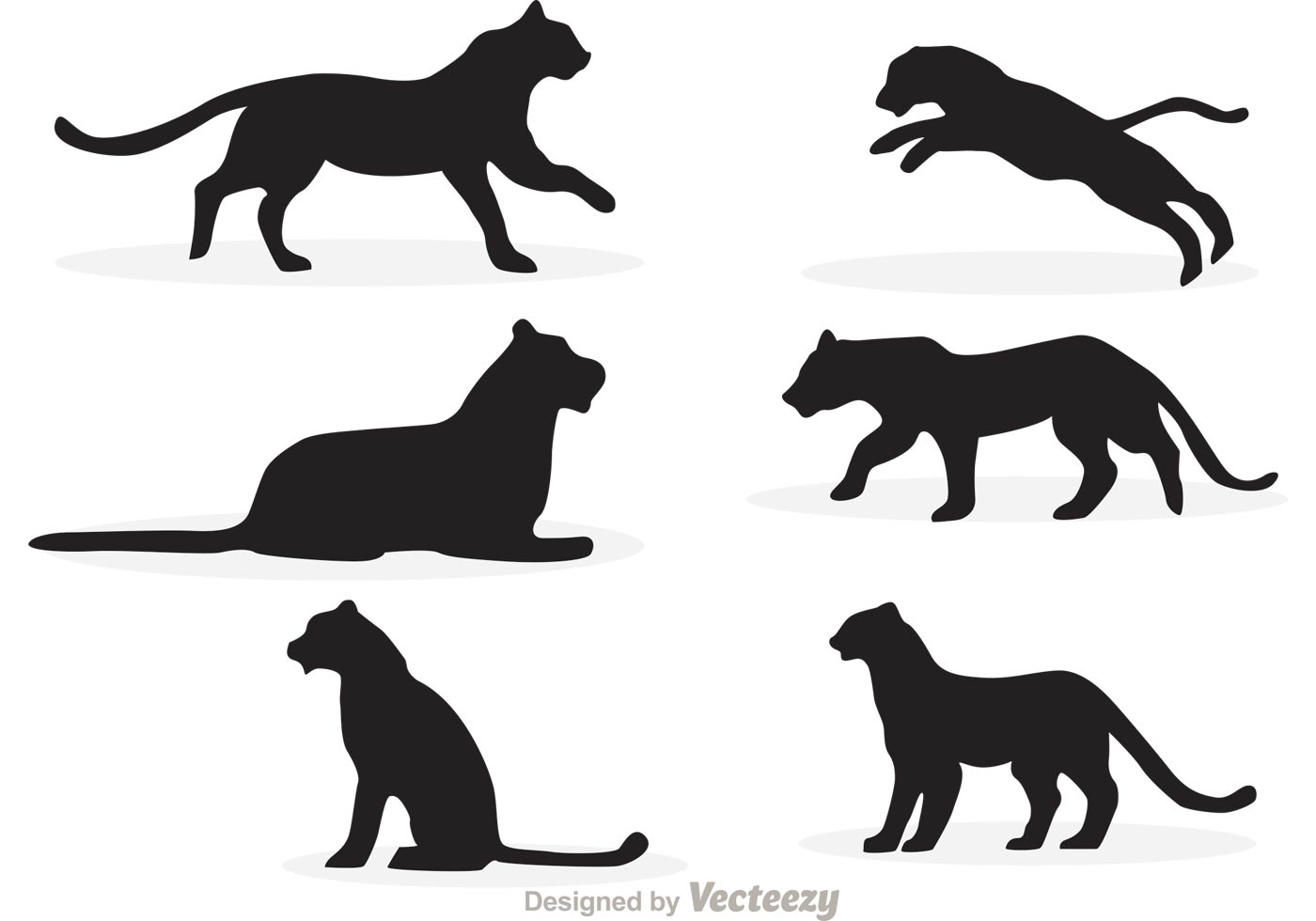 free tiger clipart vector - photo #41