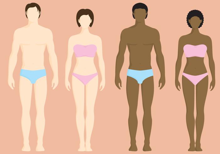 Women And Men Vectors Women And Men Vectors