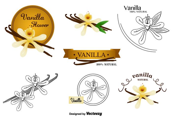 Vanilla Flower Vectors Set