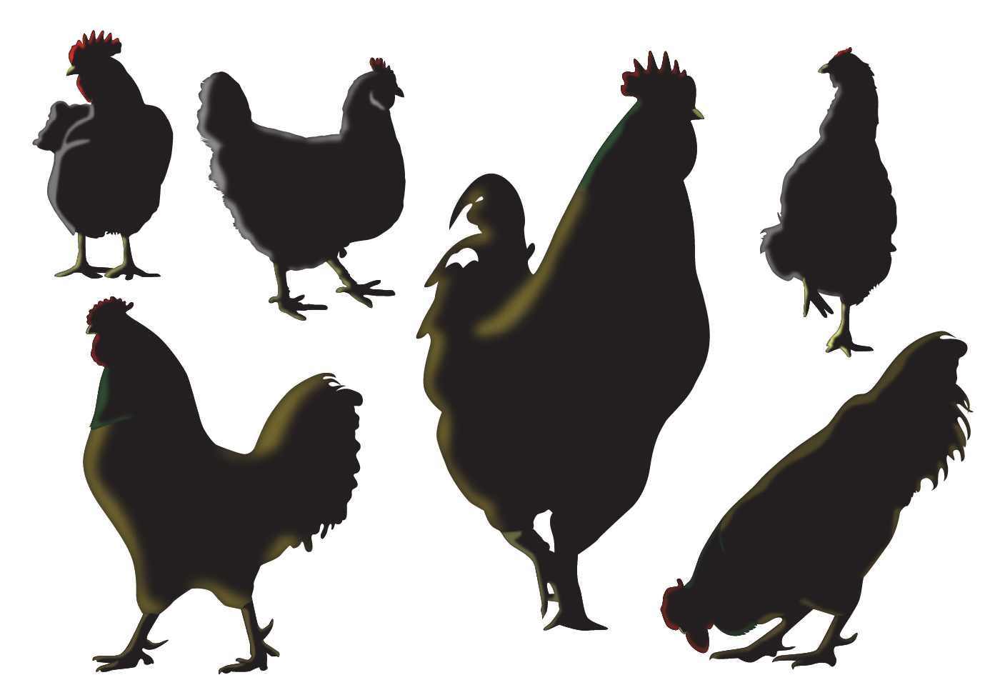 Download Rooster Silhouette Vectors - Download Free Vector Art ...