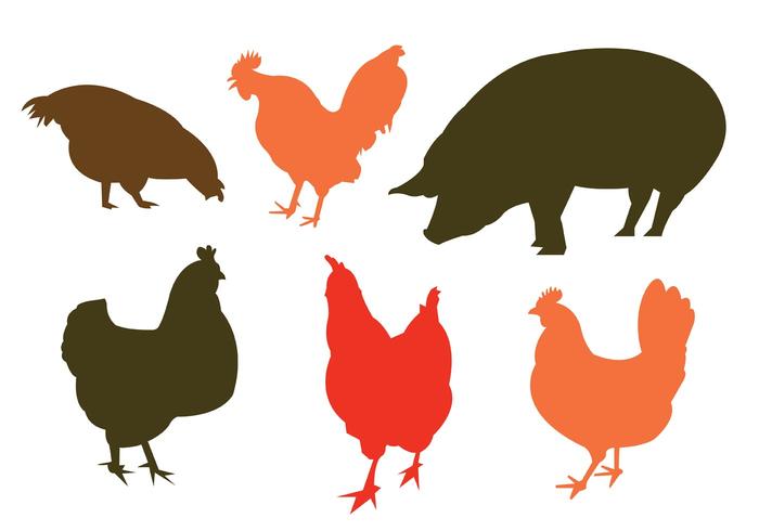 Vector Silhouette of Domestic Animals