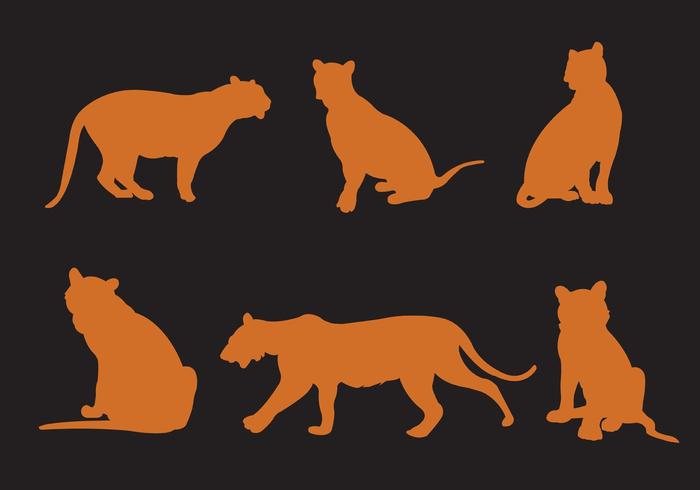 Vector Silhouette of Tigers