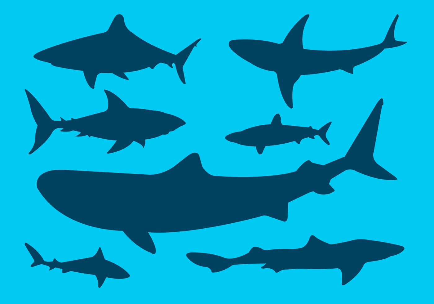 Vector Collection of Shark Silhouettes - Download Free ...