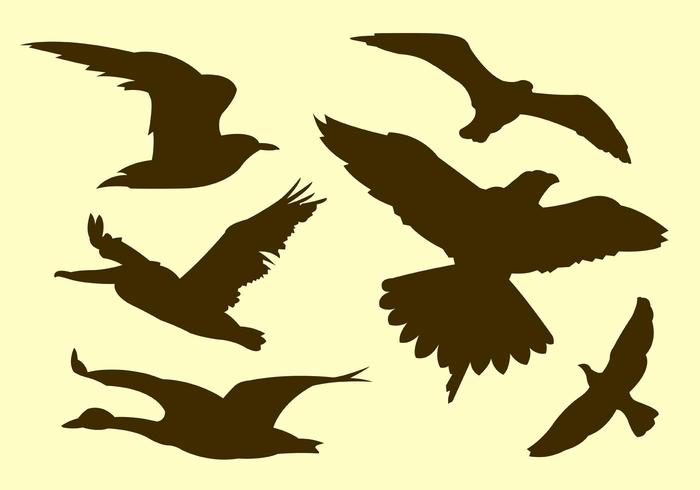 Vector colección de siluetas de aves voladoras