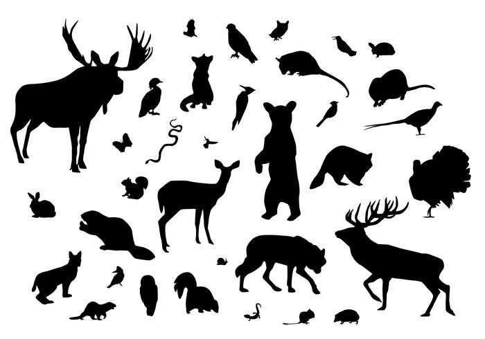 Siluetas de animales del bosque vector