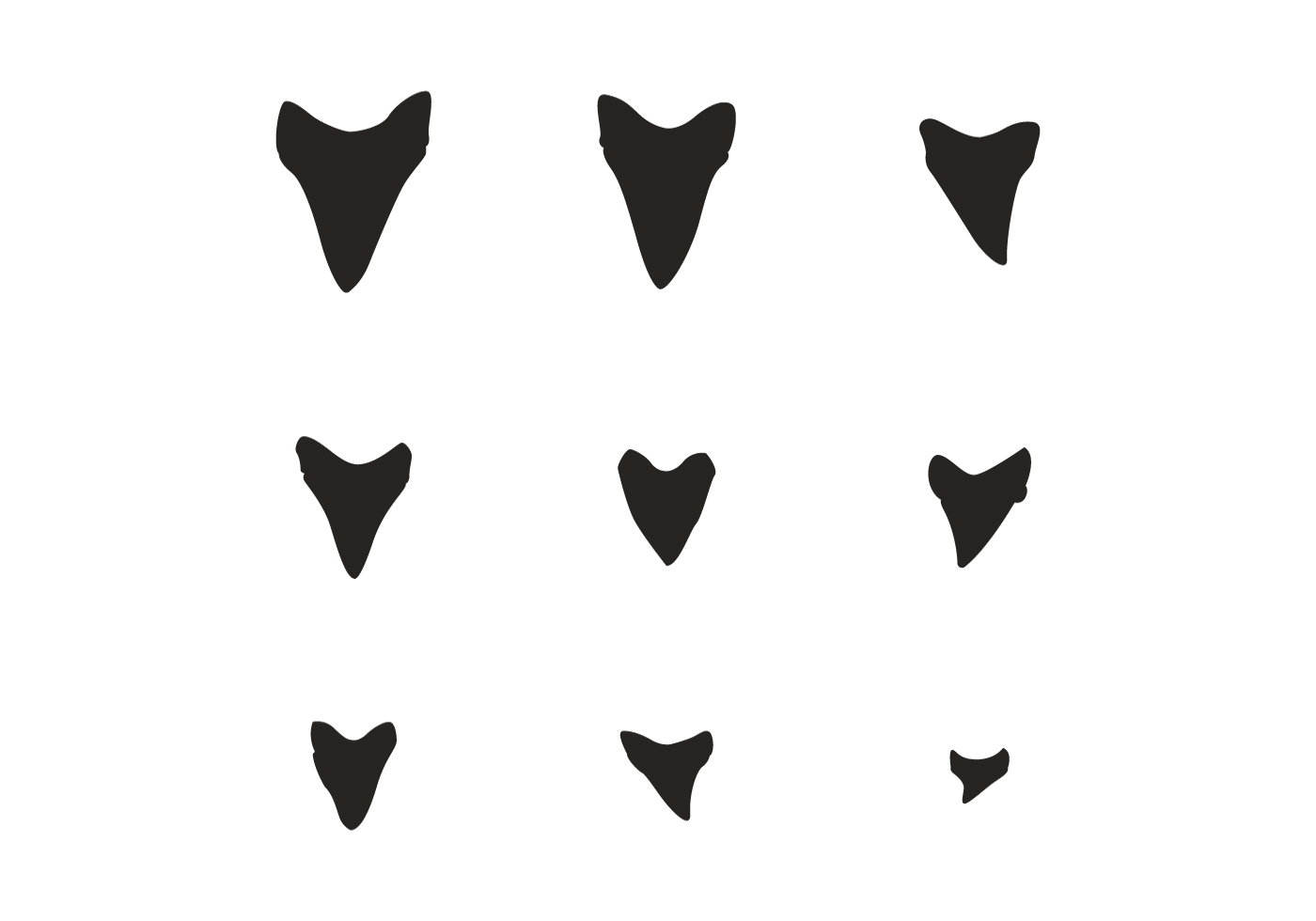 Free Free 215 Silhouette Shark Jaws Svg SVG PNG EPS DXF File