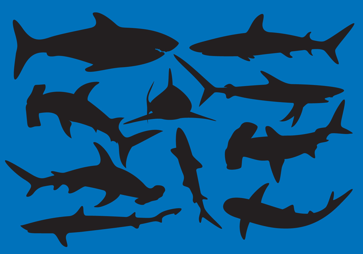 Shark Silhouette Vectors 93665 Vector Art at Vecteezy