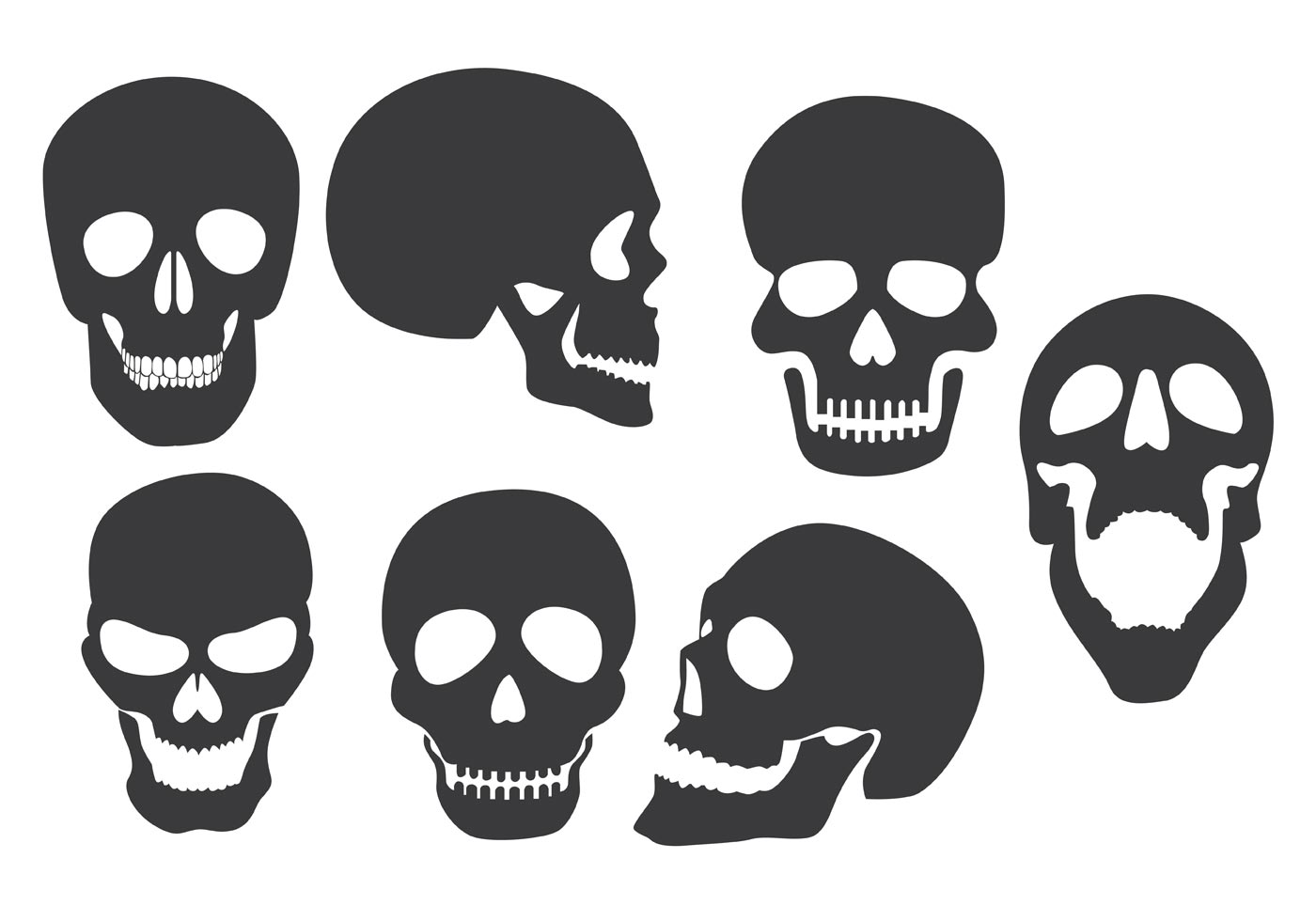 Skull Vector Art, Icons, and Graphics for Free Download