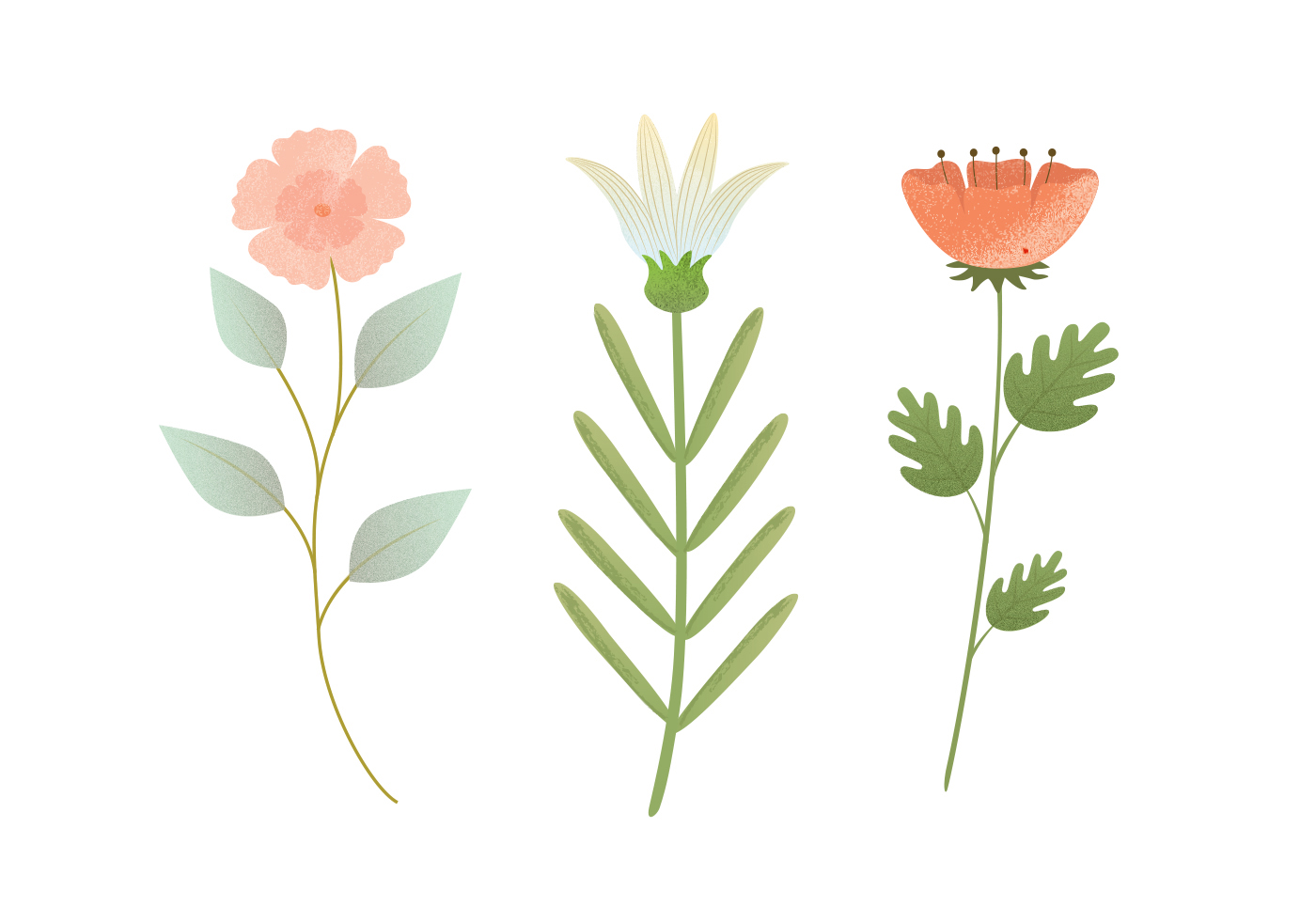 Download Vector Flower Illustration 93769 Vector Art at Vecteezy