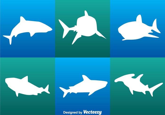 Shark White Vectors