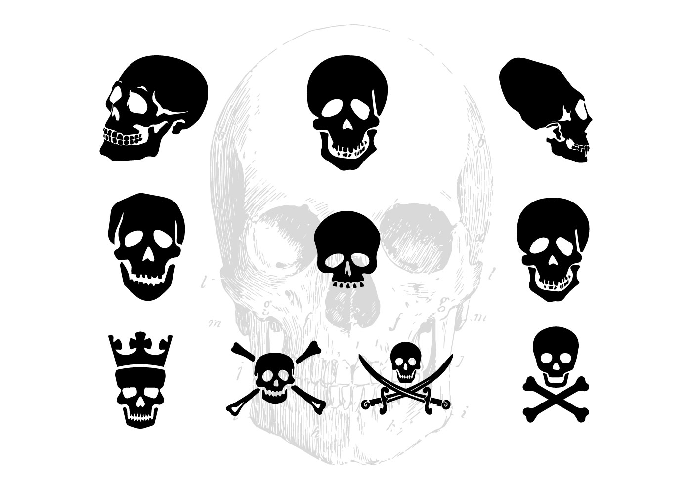 Download Free SVG Pack Of Vector Skull Silhouettes - Download Free Vector ....