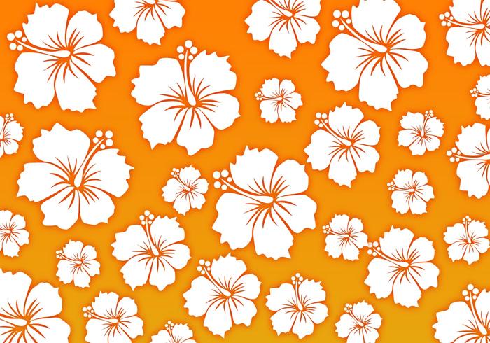 hawaii clipart background - photo #39