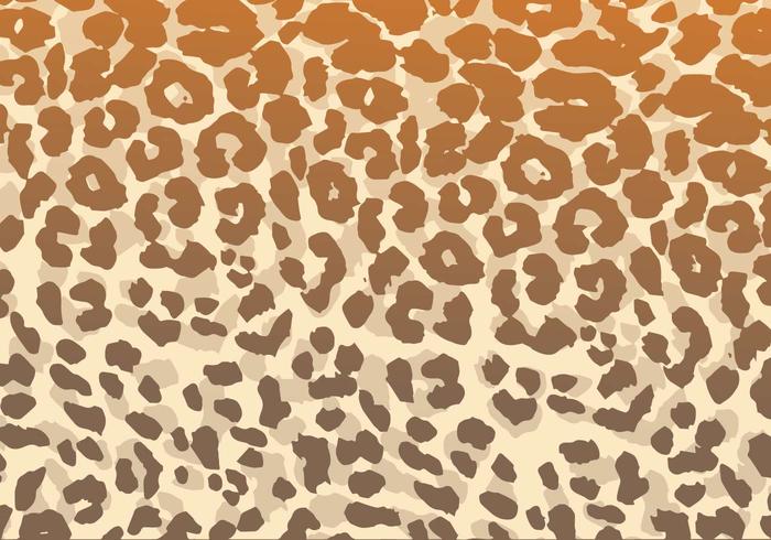 Leopard Pattern Vector