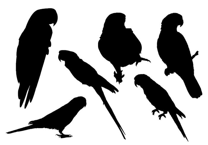 Free Parrot Silhouette Vector