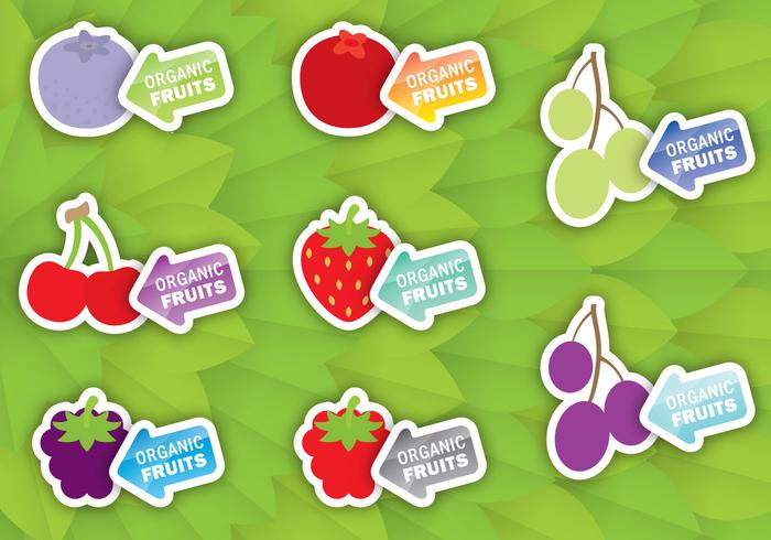 Fruit Labels vector