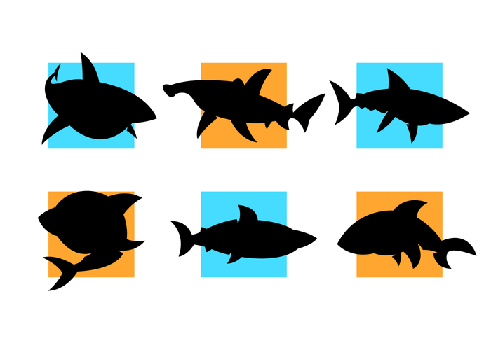Free Free 53 Silhouette Shark Svg Free SVG PNG EPS DXF File