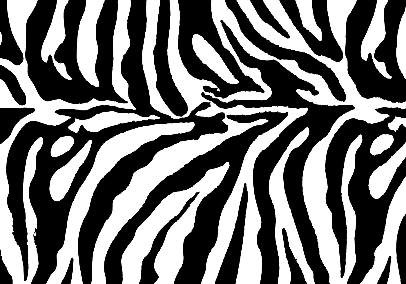 Slashcasual Zebra Print Pics