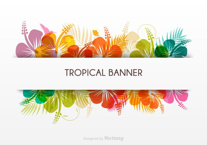 Bandera tropical libre del vector