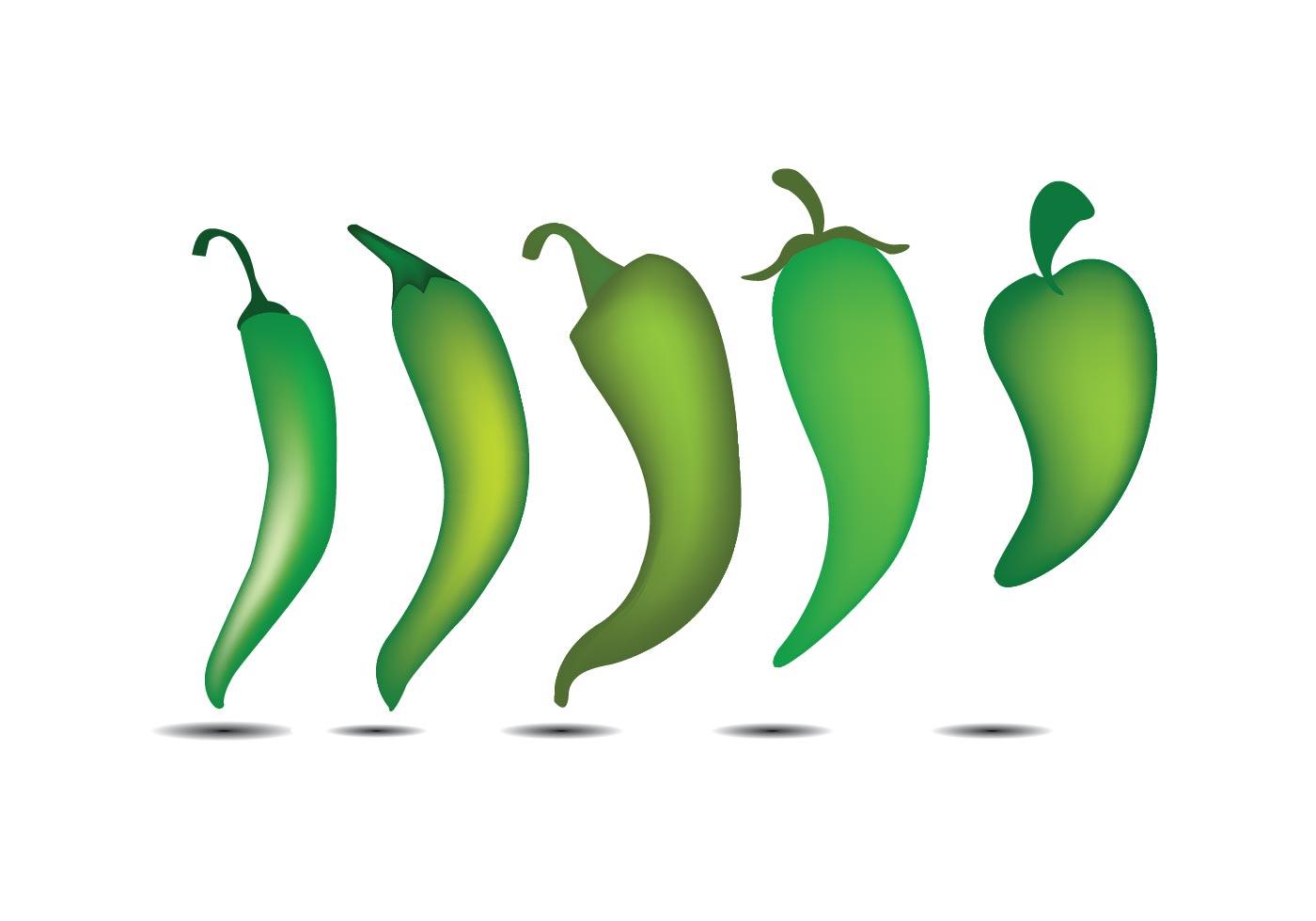 Green Pepper 94202 Vector Art at Vecteezy
