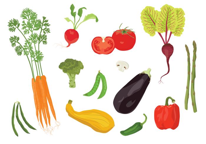 Vector Veggies