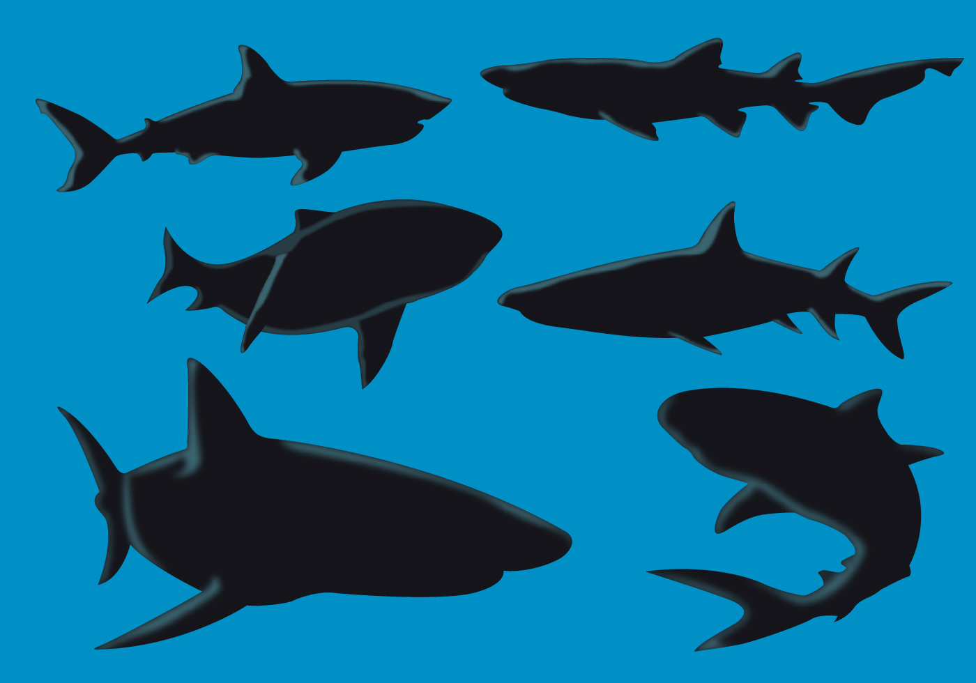 Download Shark Silhouette Vectors - Download Free Vector Art, Stock ...