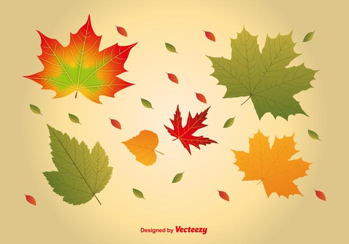 Realistic Maple Leaves Vectors