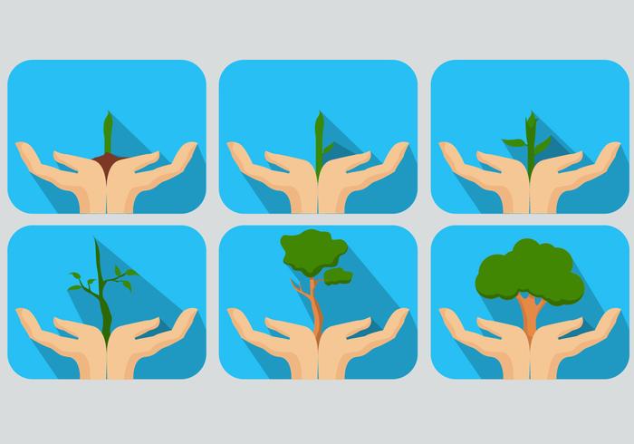 Keep Green Sprouting Vectors Keep Green Sprouting Vectors