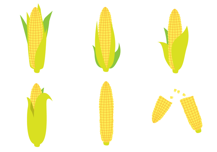 Ear Of Corn Vector Set