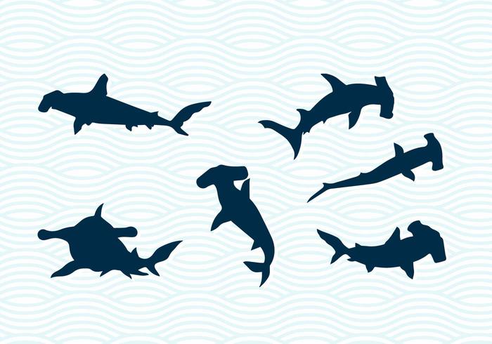 Free Free 50 Shark Svg Silhouette SVG PNG EPS DXF File