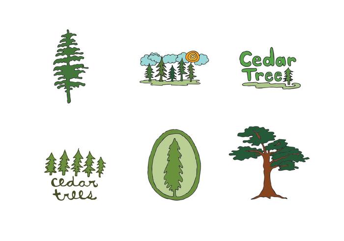 Free Cedar Tree Vector Series