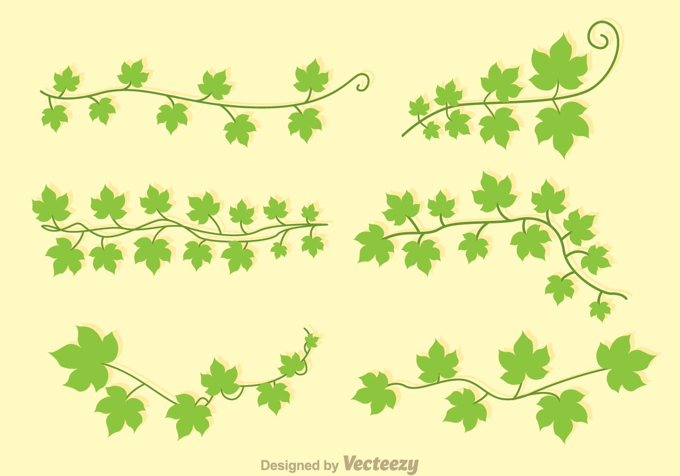 Green Ivy Vectors 94831 Vector Art at Vecteezy