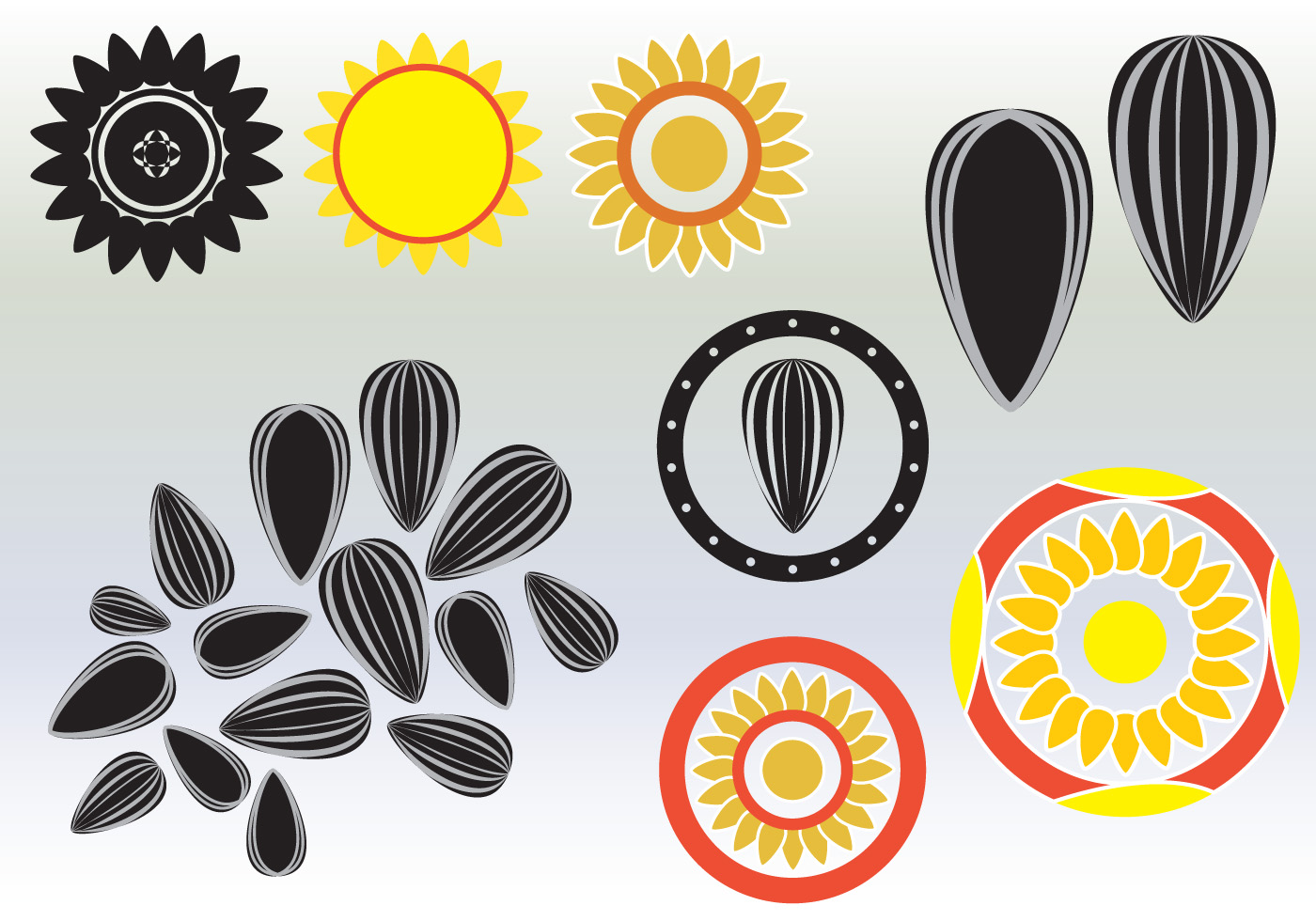 Sunflower Seed Vectors - Download Free Vector Art, Stock Graphics & Images