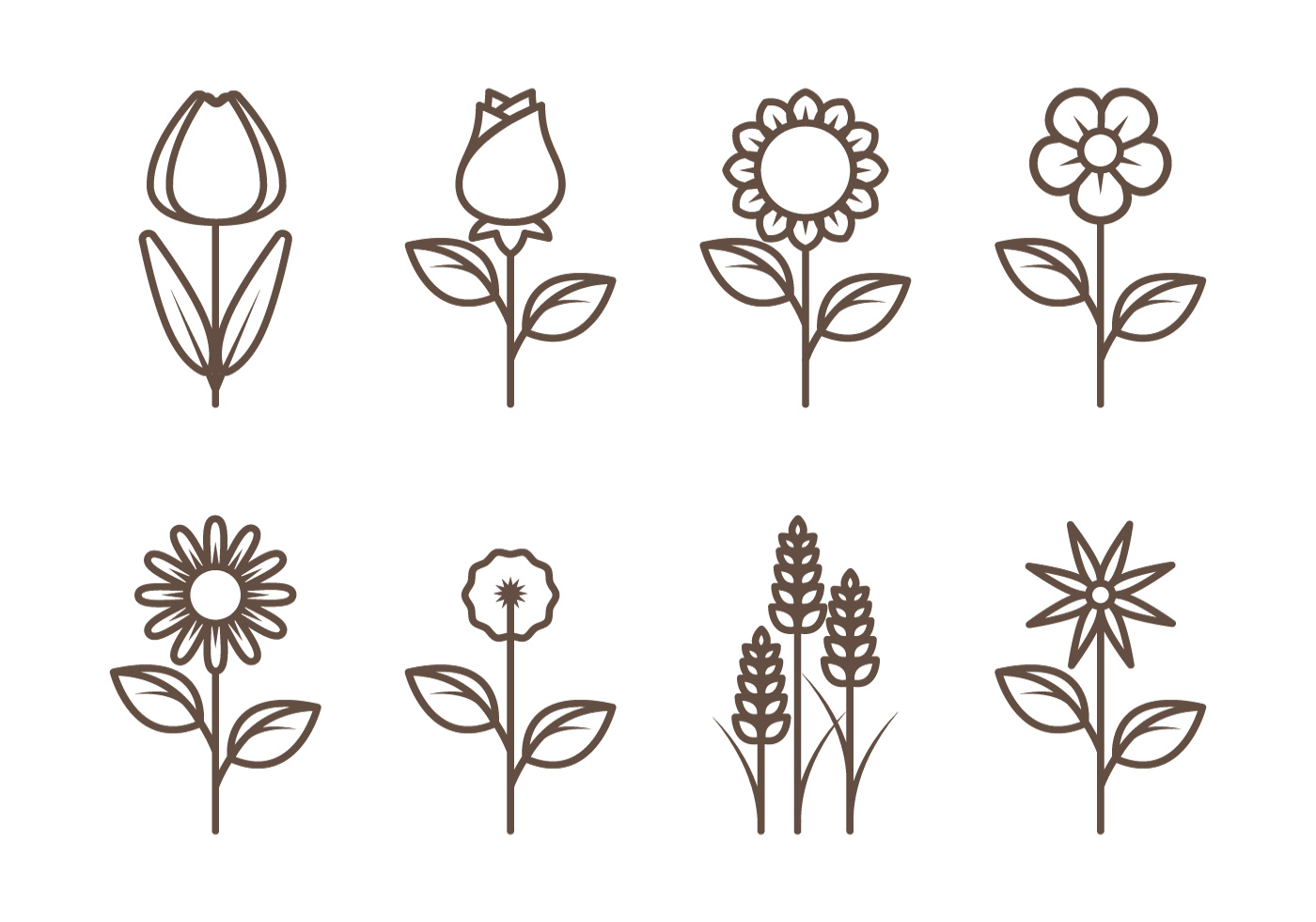 Flower Outline Vectors - Download Free Vector Art, Stock Graphics & Images