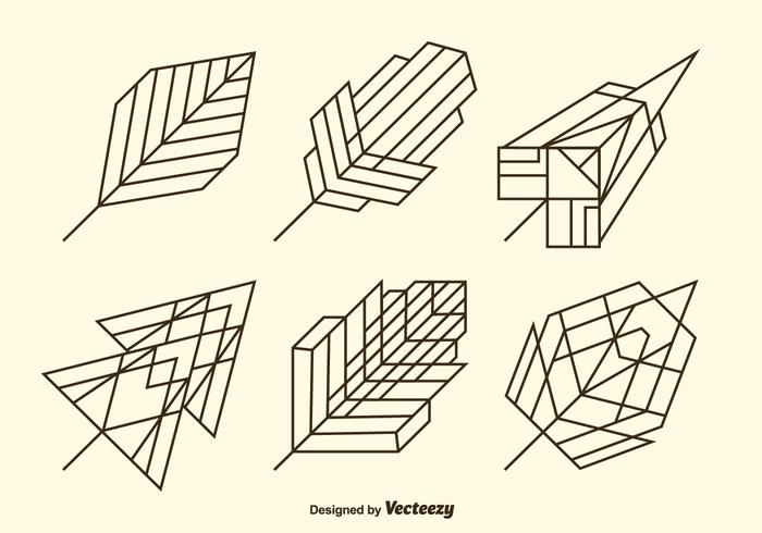 Linear leaves vector