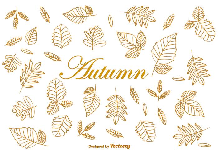 Doodle otoño hojas de color marrón vectores