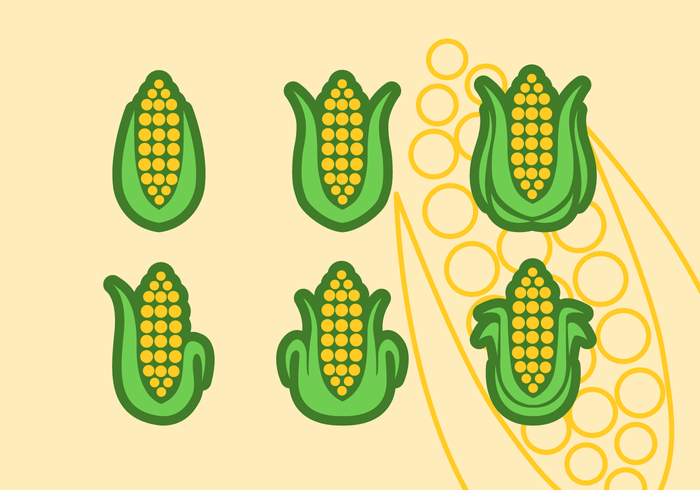 Set Of Ear Of Corn Vector Flat Icons Set Of Ear Of Corn Vector Flat Icons