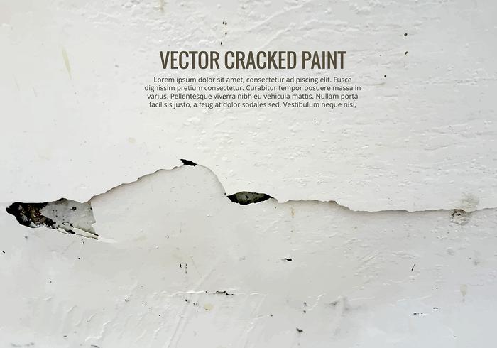 Cracked Paint Vector